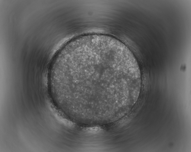 X0000115100112200912081308