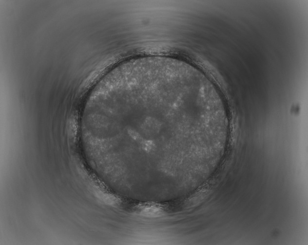 X0000115100113200912081308