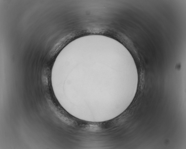 X0000115100114200912081308