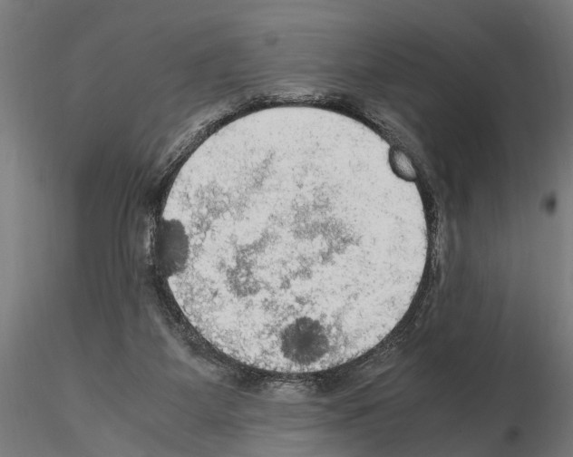 X0000115100115200912081308