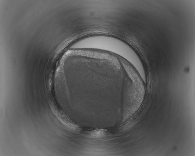 X0000115100116200912081308