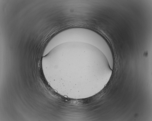 X0000115100117200912081308