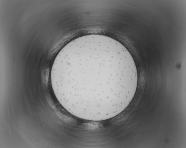 X0000115100118200912081308