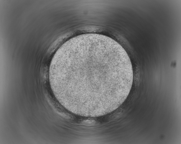 X0000115100119200912081308