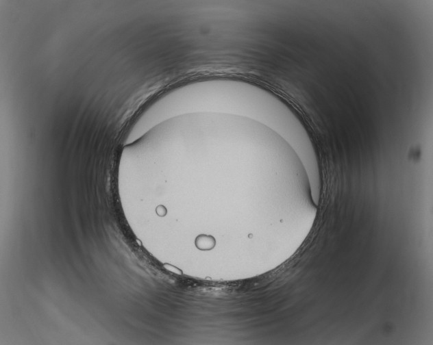 X0000115100120200912081308