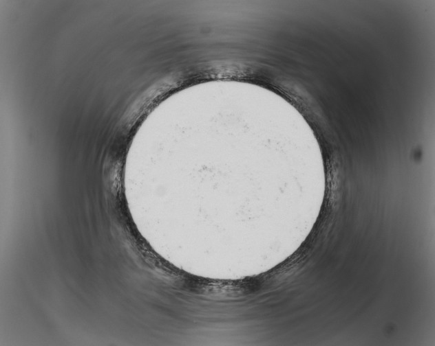 X0000115100123200912081308