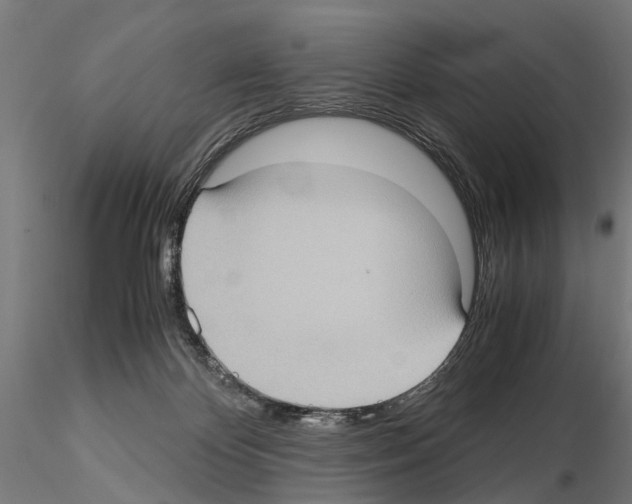 X0000115100124200912081308