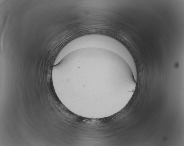 X0000115100125200912081307