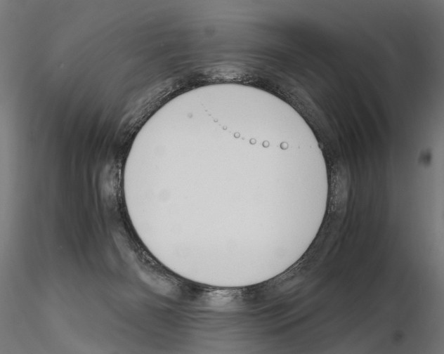 X0000115100126200912081307