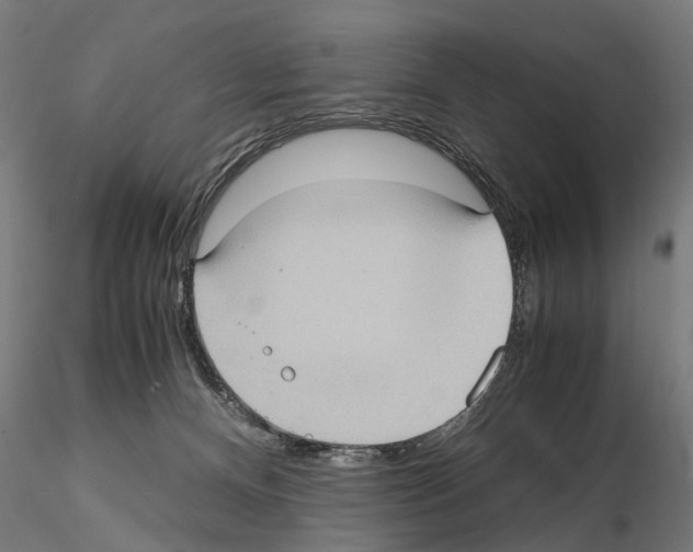 X0000115100128200912081307