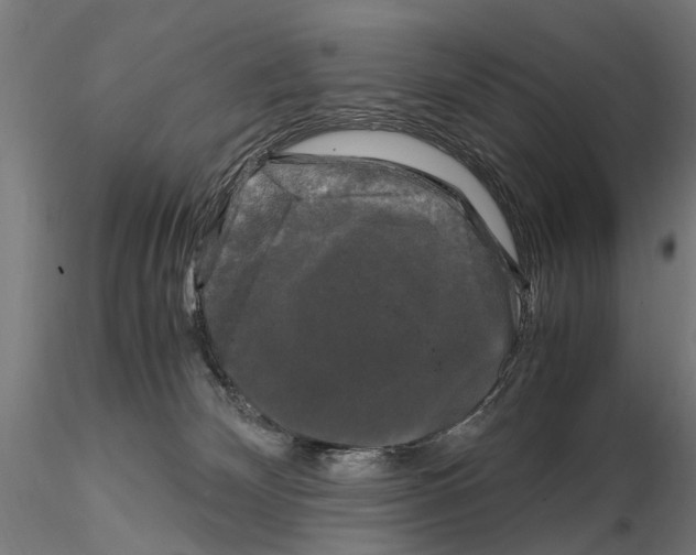 X0000115100132200912081307