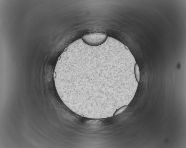 X0000115100133200912081307