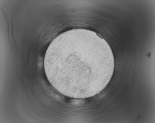 X0000115100135200912081307