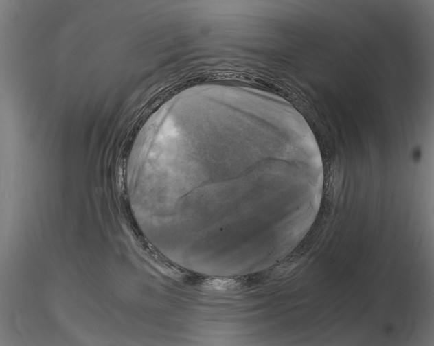 X0000115100137200912081307