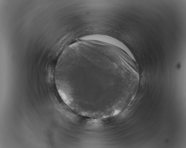 X0000115100140200912081307