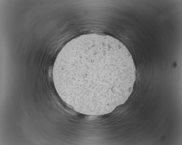 X0000115100141200912081307