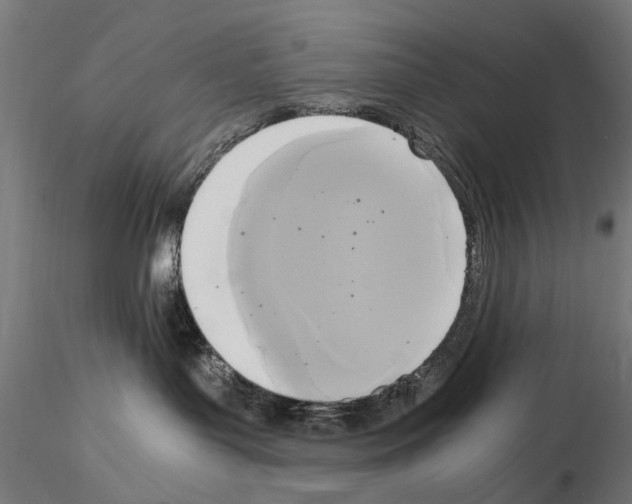 X0000115100143200912081307