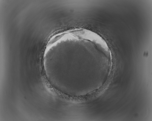 X0000115100144200912081307