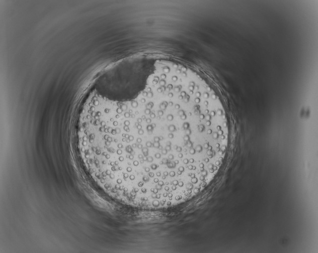 X0000115100145200912081306