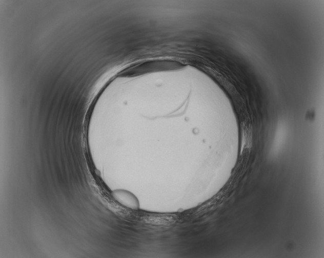 X0000115100147200912081306