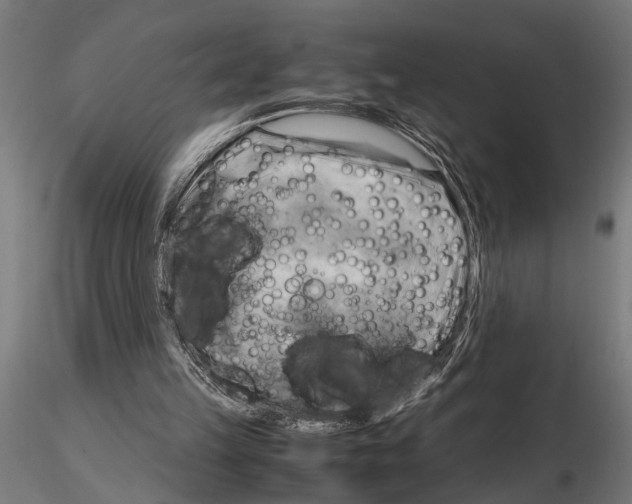 X0000115100149200912081306