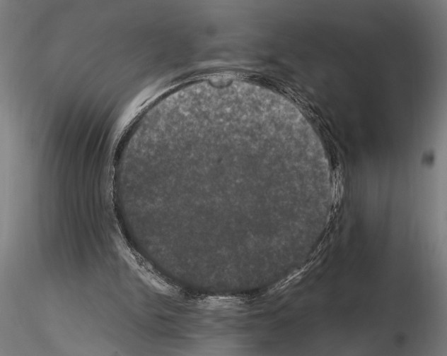 X0000115100150200912081306