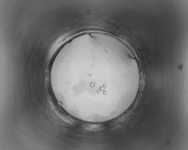 X0000115100151200912081306