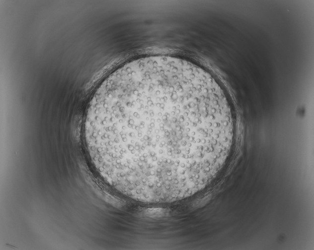 X0000115100153200912081307