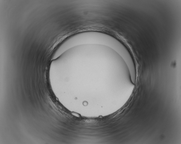 X0000115100154200912081307