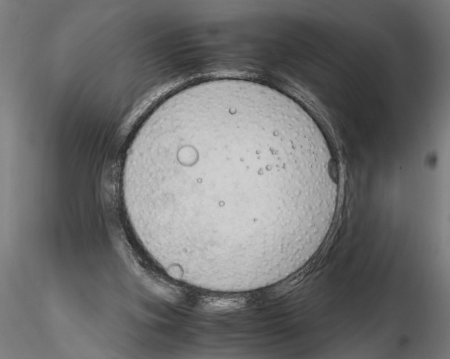 X0000115100155200912081307