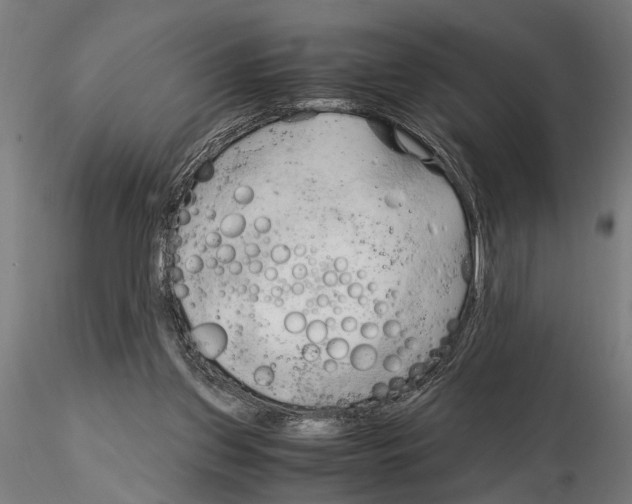 X0000115100157200912081307