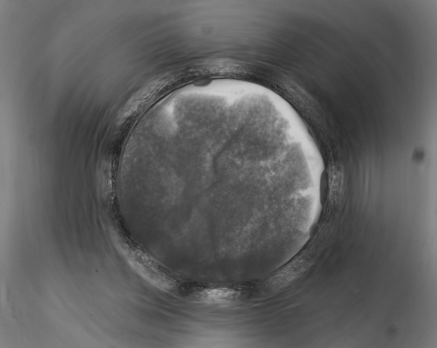 X0000115100158200912081307