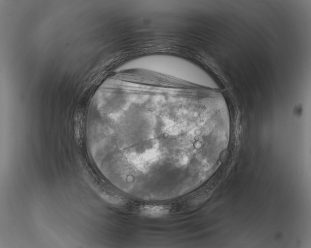 X0000115100161200912081307