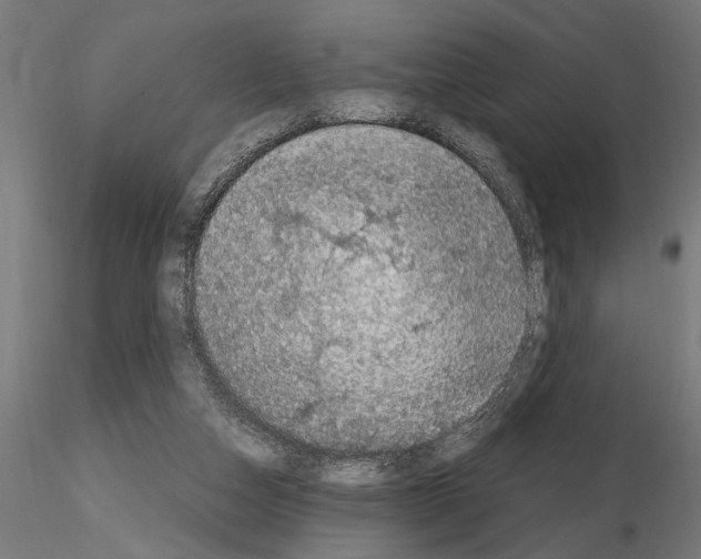 X0000115100162200912081307