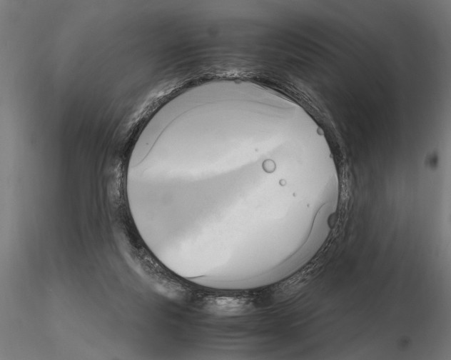 X0000115100163200912081307