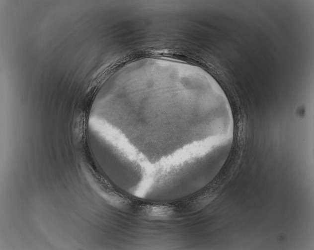 X0000115100165200912081307