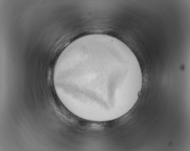 X0000115100166200912081307