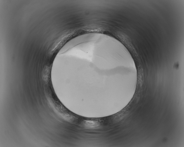 X0000115100167200912081307