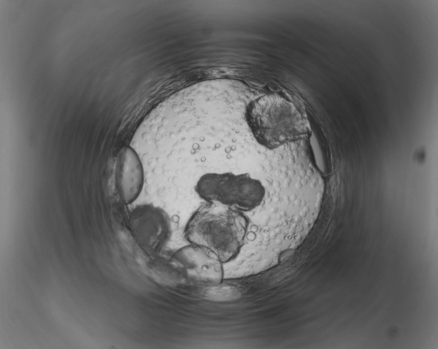 X0000115100169200912081307