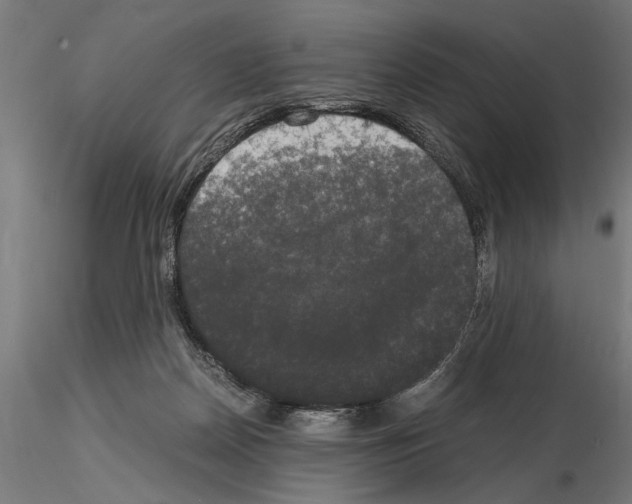 X0000115100170200912081307