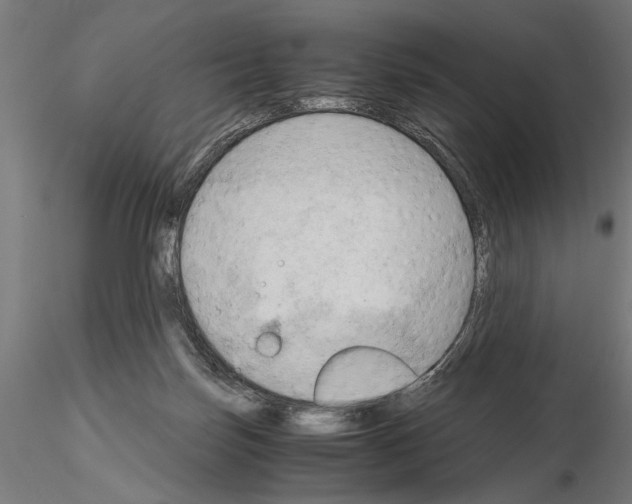 X0000115100171200912081307