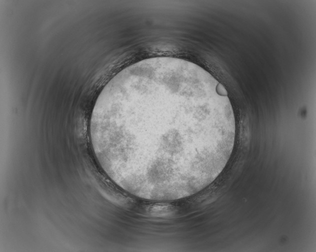 X0000115100173200912081307