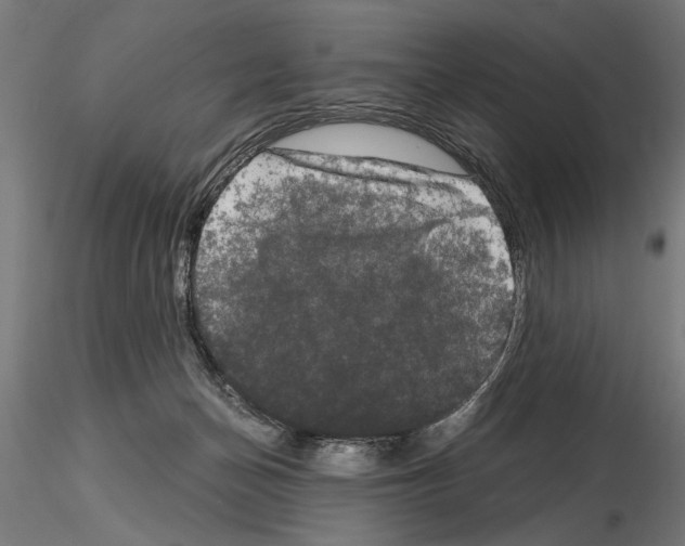 X0000115100174200912081307