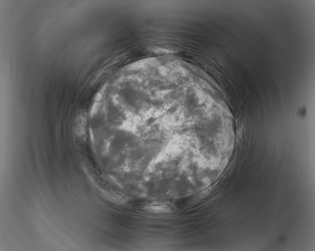 X0000115100175200912081307