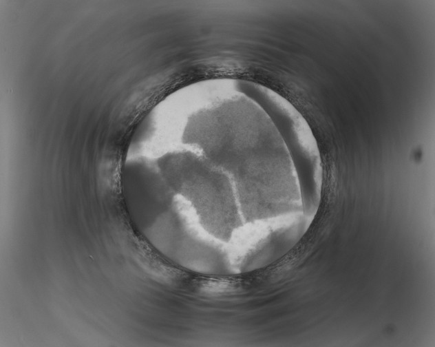 X0000115100177200912081307