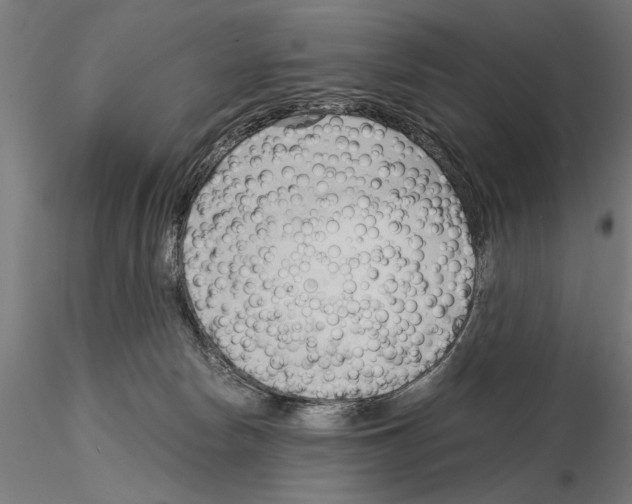 X0000115100178200912081307