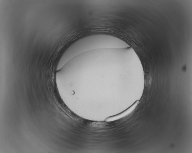 X0000115100179200912081307