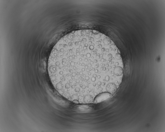 X0000115100183200912081307