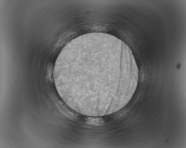 X0000115100185200912081307