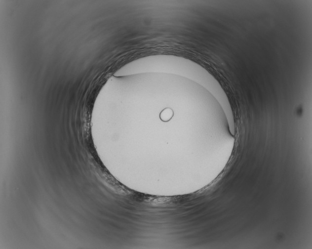 X0000115100186200912081307